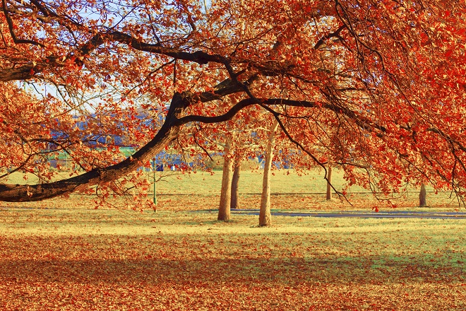 hotel u centru beograda